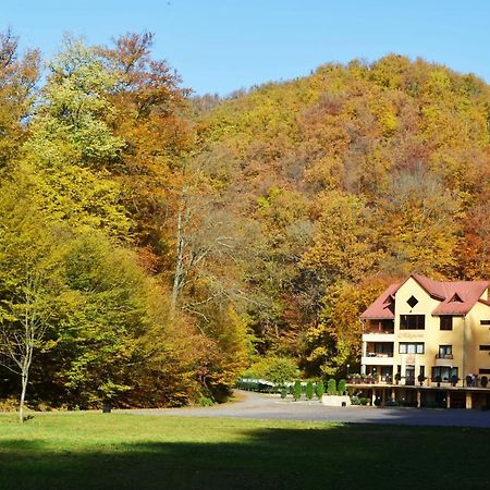 Pensiunea Magura Baia Mare Exterior foto