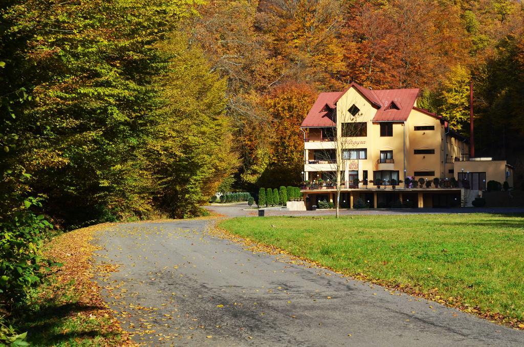 Pensiunea Magura Baia Mare Exterior foto