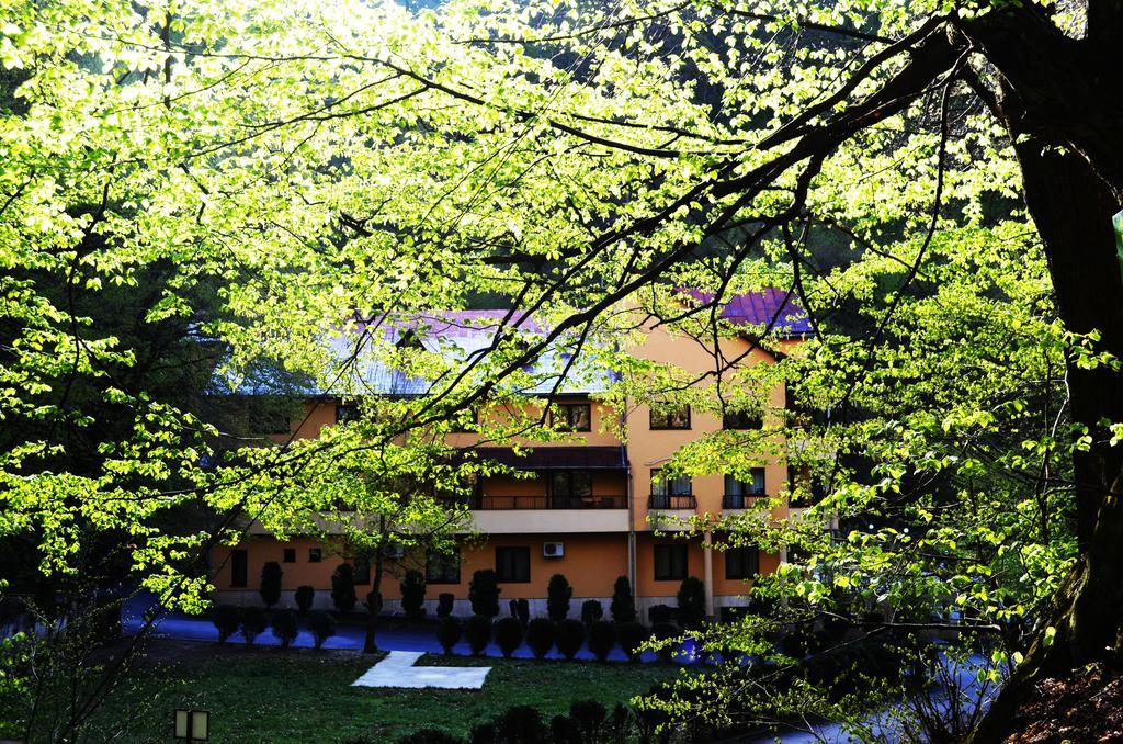 Pensiunea Magura Baia Mare Exterior foto