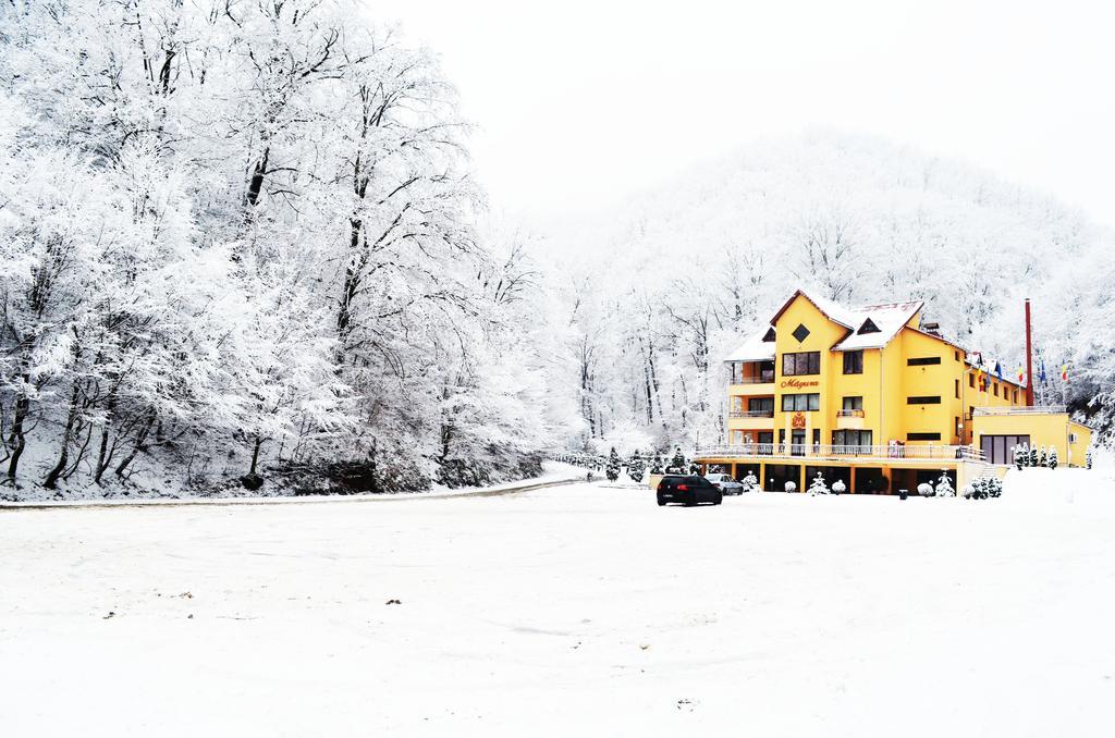 Pensiunea Magura Baia Mare Exterior foto