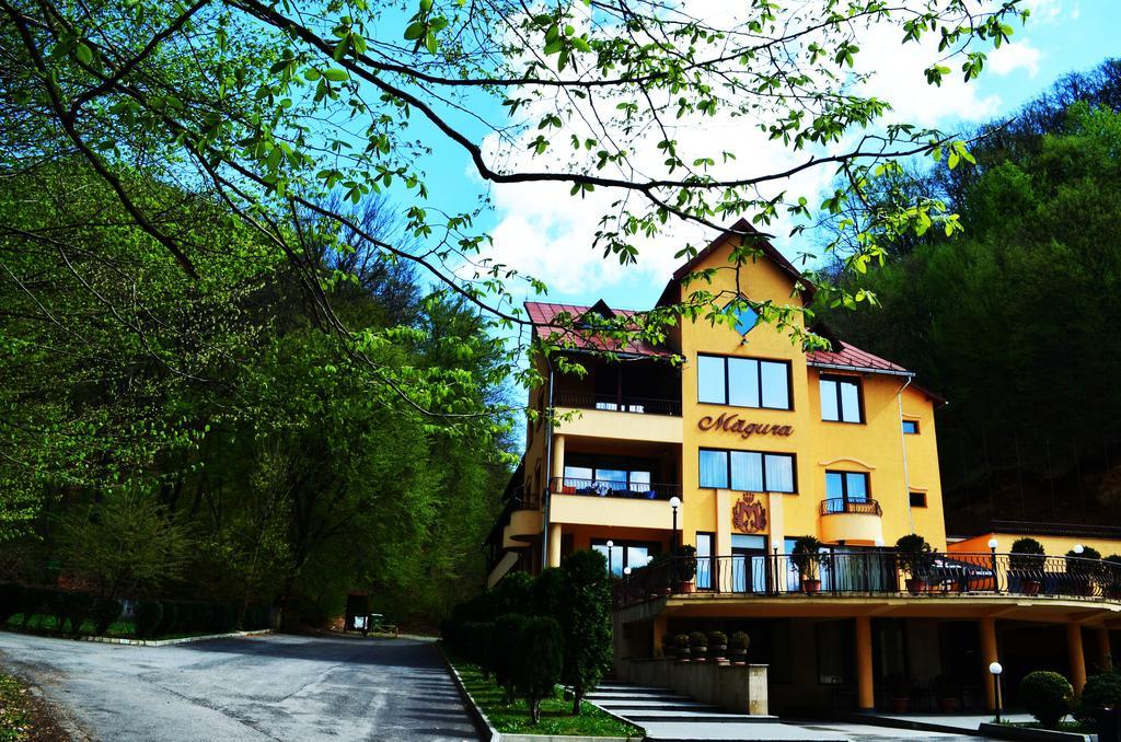 Pensiunea Magura Baia Mare Exterior foto