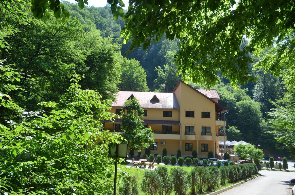 Pensiunea Magura Baia Mare Exterior foto