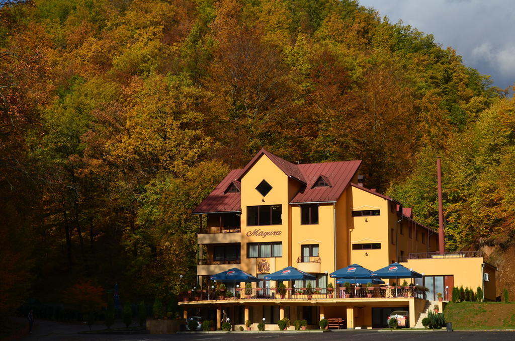 Pensiunea Magura Baia Mare Exterior foto