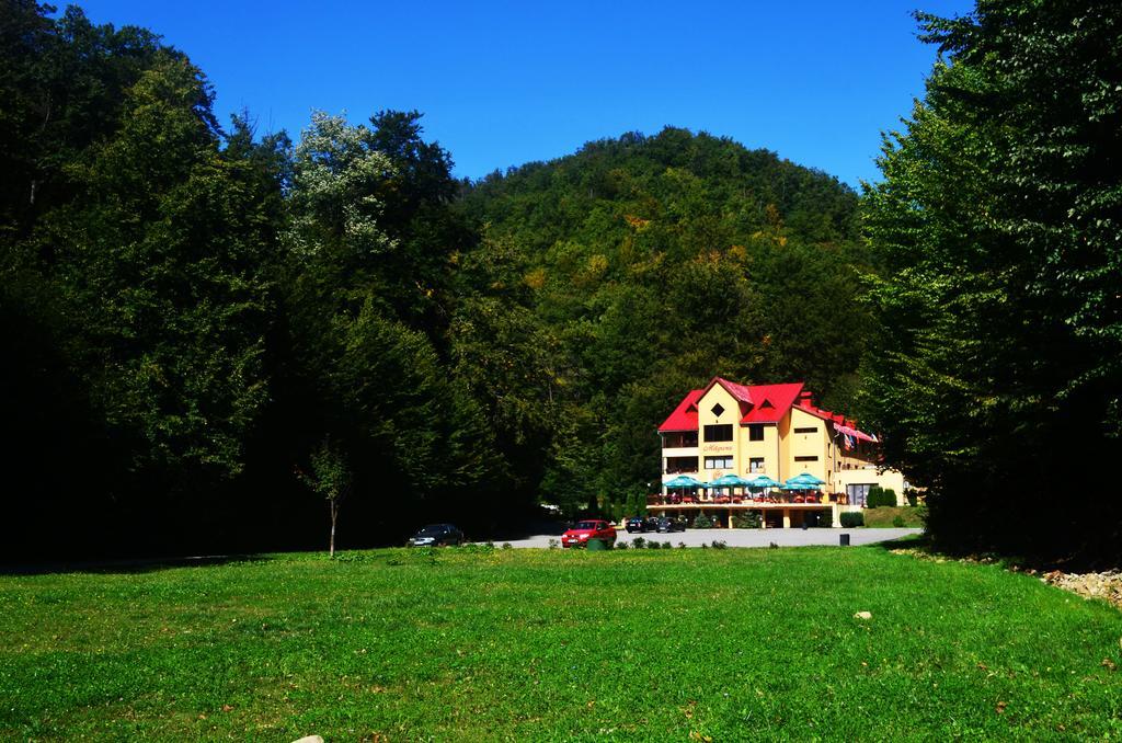 Pensiunea Magura Baia Mare Exterior foto