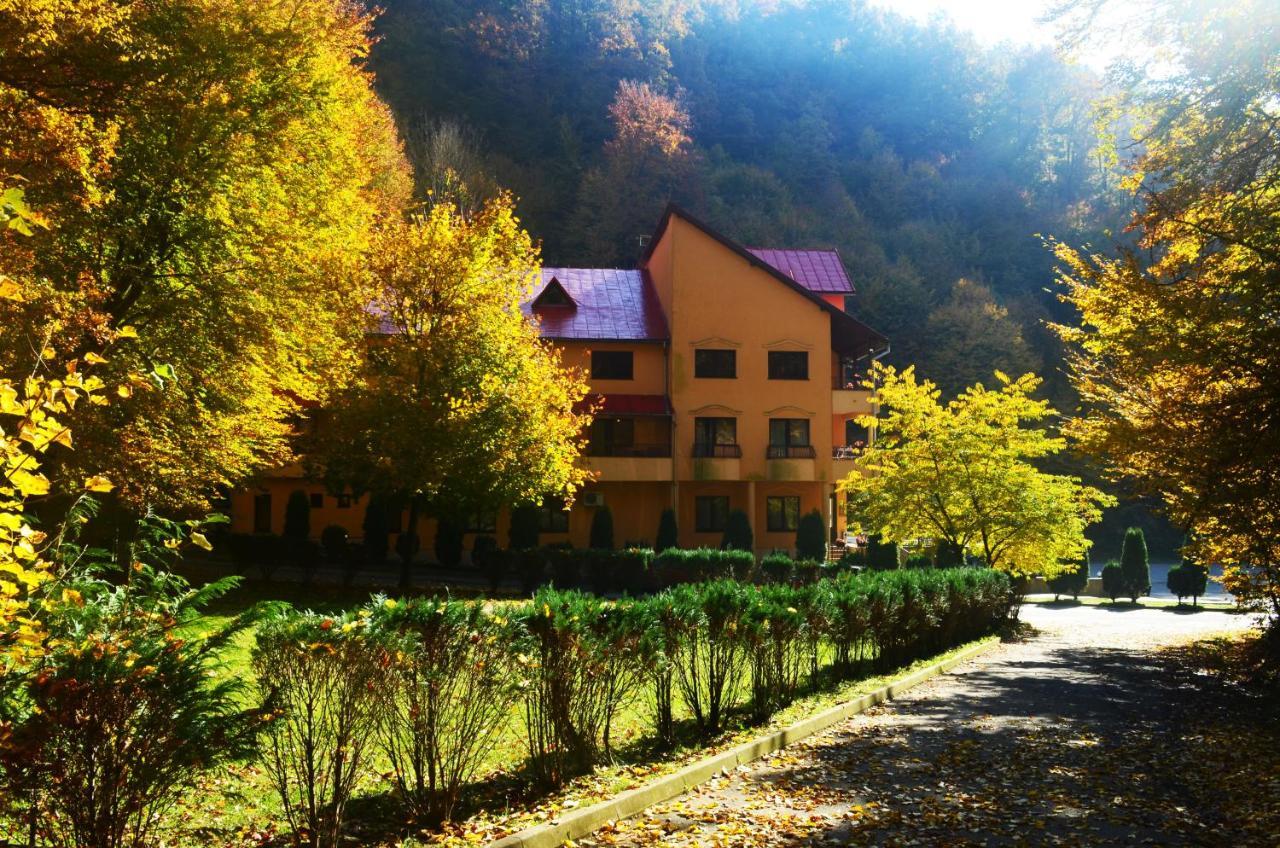 Pensiunea Magura Baia Mare Exterior foto