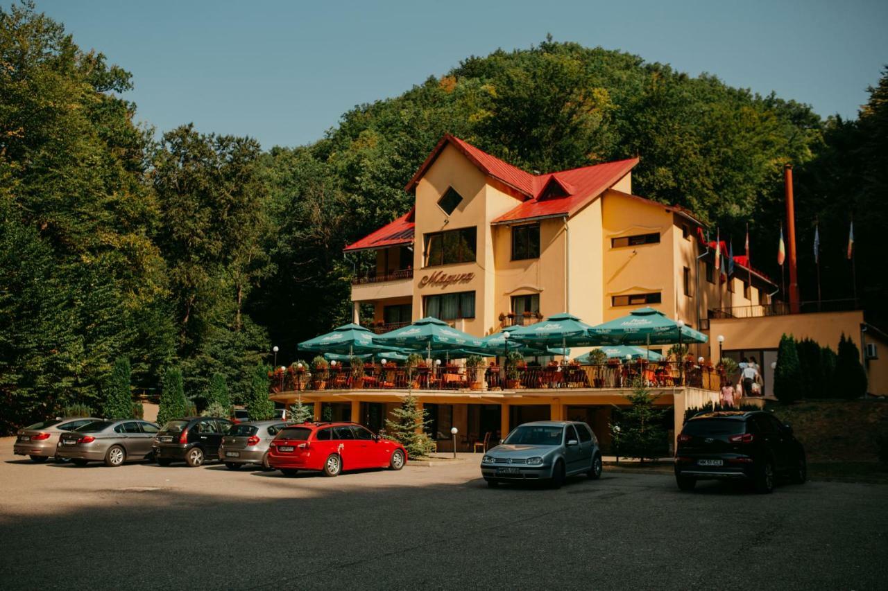 Pensiunea Magura Baia Mare Exterior foto