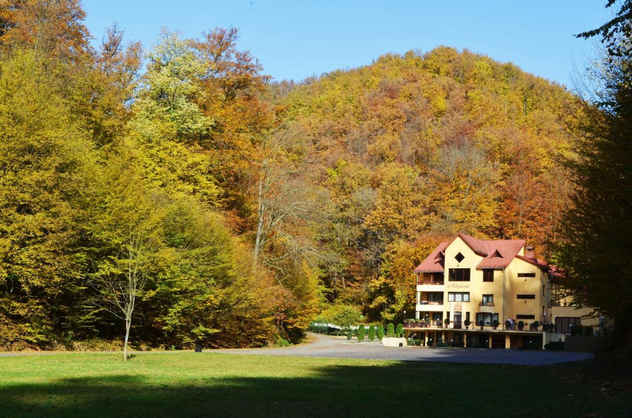 Pensiunea Magura Baia Mare Exterior foto